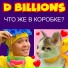 D Billions