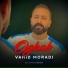 Vahid Moradi