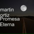 martin ortiz