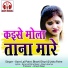 Gore Lal Patre, Usha Patre, Bharti Dhuri