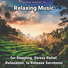 Relaxation Music, Relaxing Spa Music, Yoga