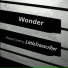 LittleTranscriber
