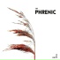 The Phrenic