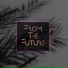 From The Future