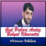 Waseem Gulshan
