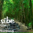 Sibe