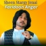 Faridoon Angar