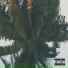 $ICKMIND