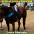 Louro Aboiador
