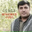 Mihemed Cudî