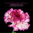 DJ THT feat. Josh Lorenzen
