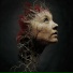 Zinna