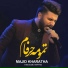 SAXA.919393942.