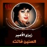 Zizi El Amir