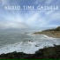 Audio Time Capsule
