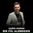 Çağrı Doğan