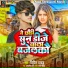 Vipin Yadav feat. Maa Sarswati Music