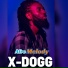 X-Dogg