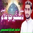 Hamid Raza Wadho Hussaini