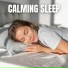 The Sleepy Sounds