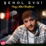 Şenol Evgi Hd