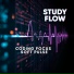 STUDY FLOW
