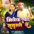 Santosh Premi Paswan, Srishti Bharti