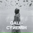 Qali