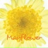 Mayflower