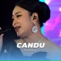 GEDUA