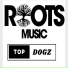 ROOTS MUSIC