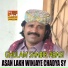 Ghulam Shabir Abasi