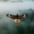 Kinestetika