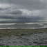 Sounds of the Sea