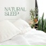 Melatonin boost, Sleep Aid, Nighttime calm