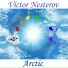 Victor Nesterov