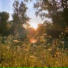 sunfade