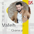 Elnur Valeh