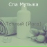 Спа Музыка