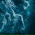 NBSPLV