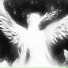 NXVXRMXRE