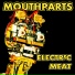 Mouthparts