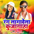 Bablu Bawali