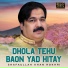 Shafaullah Khan Rokhri