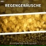 Henrik Picot, Regengeräusche, Naturgeräusche