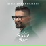 Sina Shabankhani