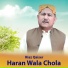 Riaz Qaiser