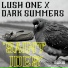 Lush One, Dark Summers