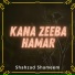 Shahzad Shameem