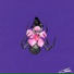 Carolo